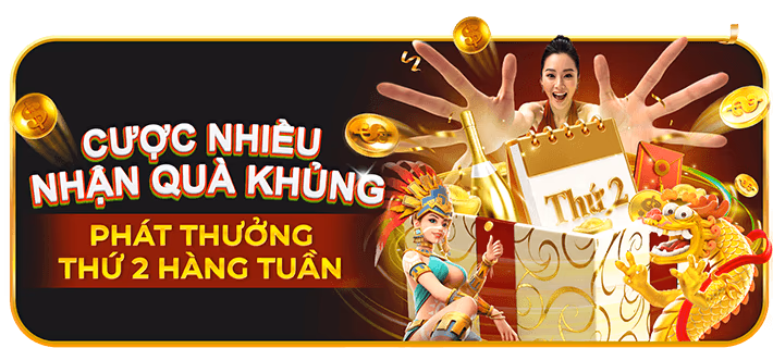 Hình ảnh gà chiến đang thi đấu