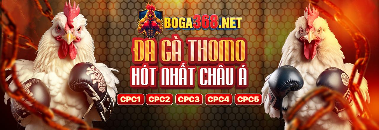 Sảnh Trò Chơi ko66 - Trải Nghiệm Cá Cược Đỉnh Cao Tại Việt Nam