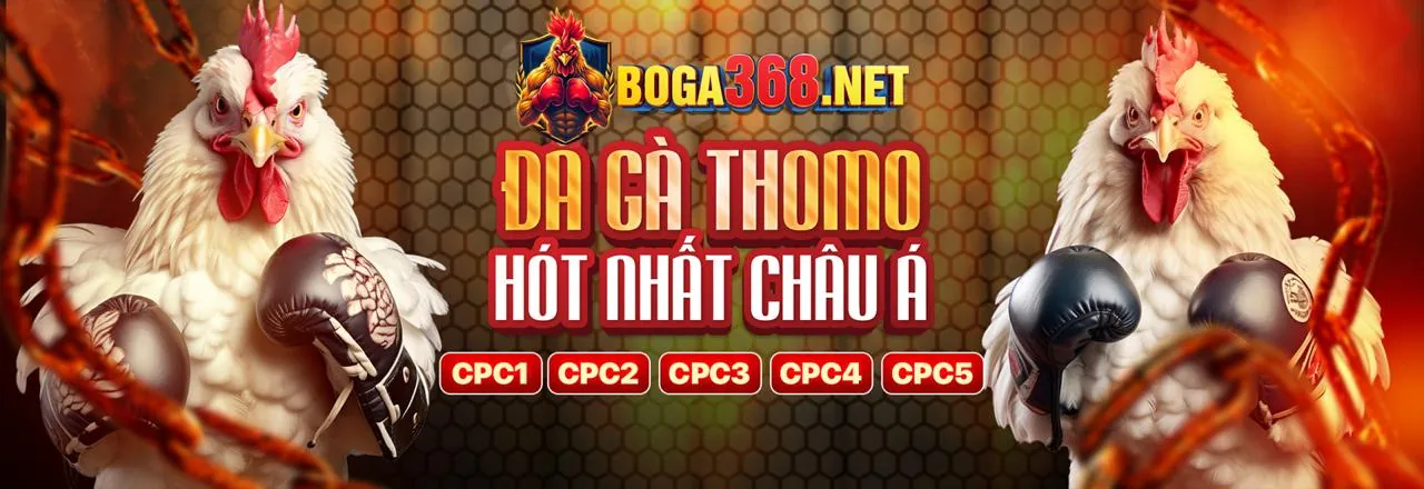 Sảnh Trò Chơi ko66 - Trải Nghiệm Cá Cược Đỉnh Cao Tại Việt Nam