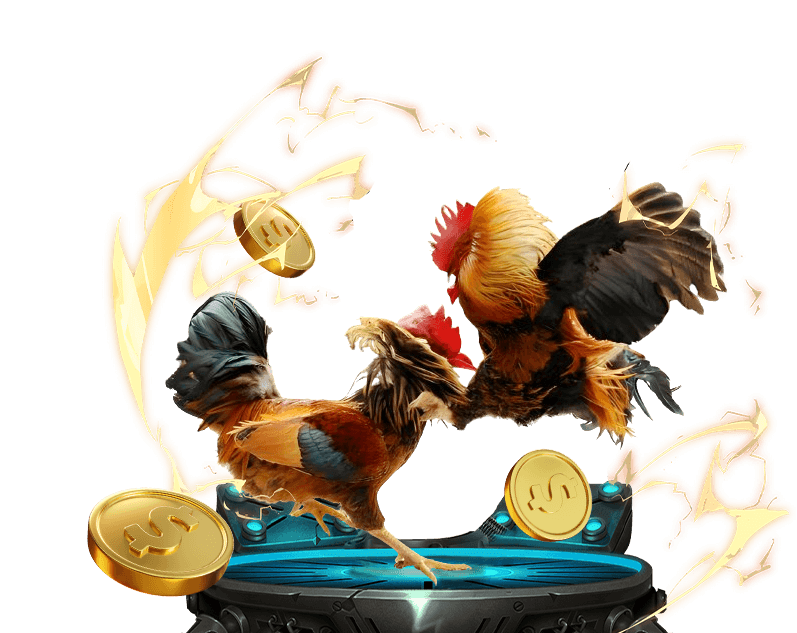 Hình ảnh các trận đấu đá gà trực tuyến kịch tính và hấp dẫn tại Ko66.