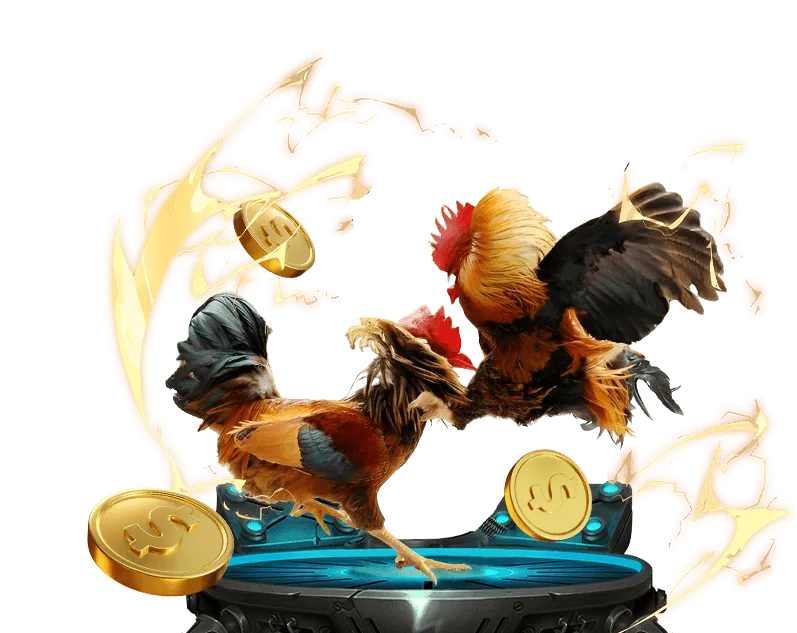 Hình ảnh các trận đấu đá gà trực tuyến kịch tính và hấp dẫn tại Ko66.